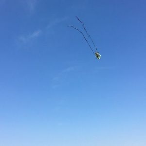 Meet your Posher, Phu